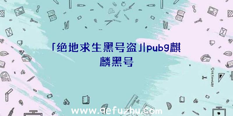 「绝地求生黑号盗」|pubg麒麟黑号